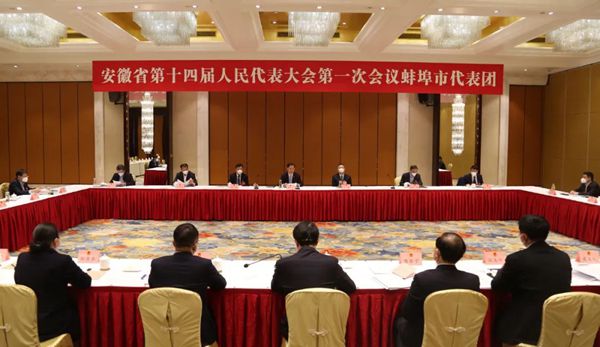 黄晓武主持召开省十四届人大一次会议蚌埠代表团全体会议 马军参加