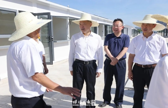 马军调研龙子湖东南片区项目建设情况