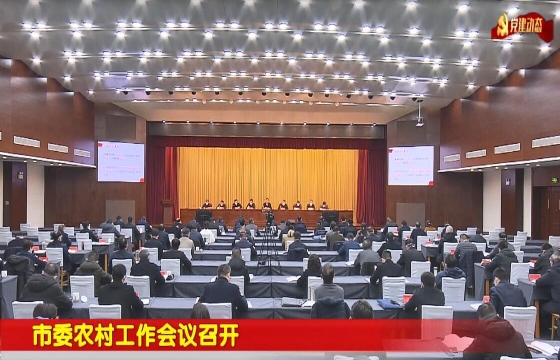 蚌埠党建电视栏目《七月阳光》239期