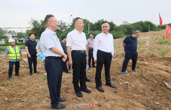 马军赴县区调研项目建设、平安建设工作