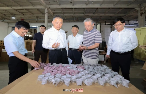马军调研督导重点项目建设和安全生产工作