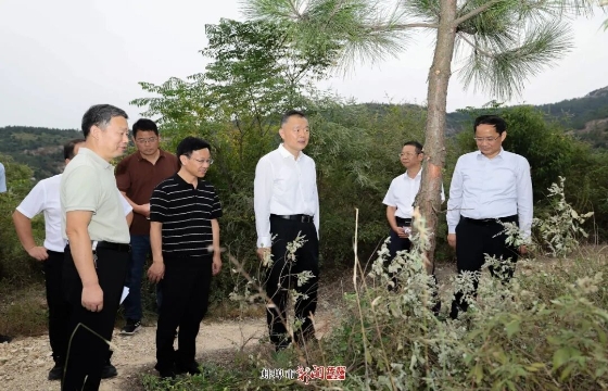 马军开展巡林活动