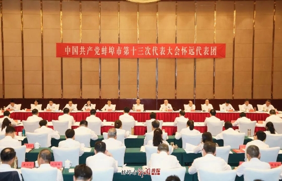 马军参加市第十三次党代会怀远县代表团讨论